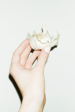Hand holding a fresh garlic onion with hard direct flash
