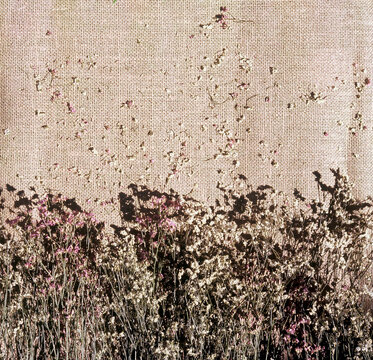 Reversal film. Dry flowers flat lay on brown wicker background