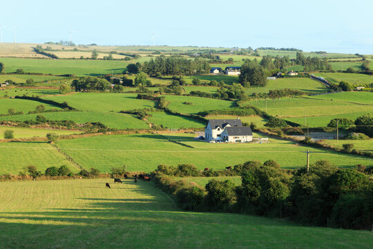 Green fields of Southern Ireland.