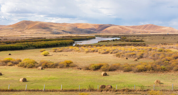Serene River Winding Through Golden Grassland