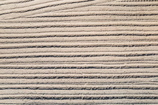 Freshly plowed furrows in a cultivated field