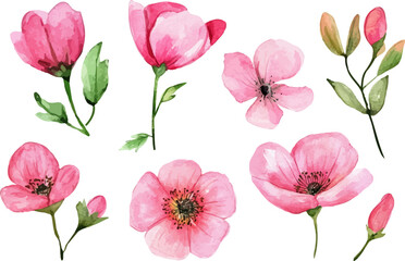 Fototapeta premium pink tulips isolated on white