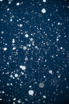 Abstract shot of a winter snowfall in the evening time