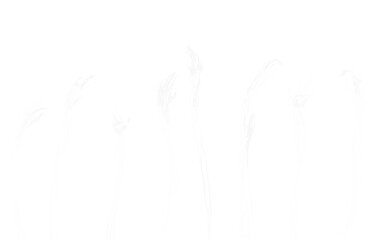 地面から伸びる手