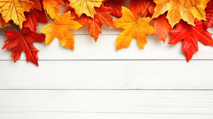 Autumn leaves border on white wood; fall background, design