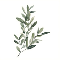 flowers and leaves in pictures illustrator2D