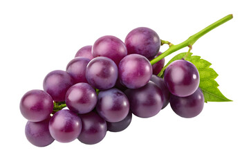 Fresh purple grape bunch with attached green leaf, healthy eating