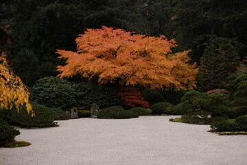 Meditative Zen Rock Garden with Stones and Sand
Description