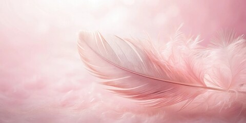 Obraz premium Delicate Pink Feather on Soft Downy Surface, a Gentle and Airy Background