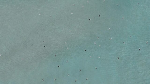 sea,waves,beach,sand,vacation,바다,파도,해변,모래,휴가-2
