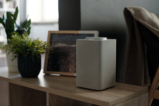Smart Speaker and Picture on Shelf at Cozy Home Interior