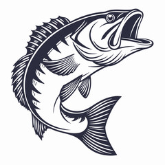 bass fish icon with white background