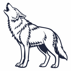 wolf vector illustration