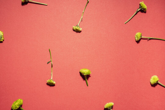 Green Flowers Scattered on Red Background