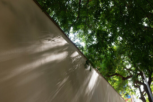 View of fence and tree with soft sunrays in urban city environment