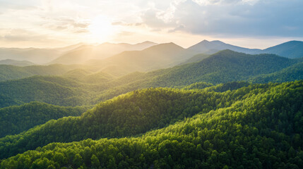 Aerial view of sprawling green forest with sunlight streaming over rolling hills and distant mountains