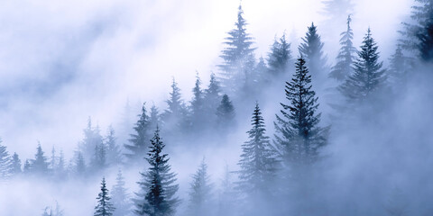 Valley Fog Mountain Fog Mount Rainier Washington