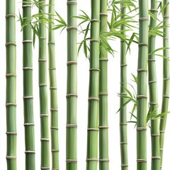 Lush Green Bamboo Stalks with Fresh Leaves in Bright Natural Light for Tranquil Atmosphere and Zen Gardens