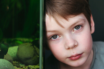 Boy Observing Aquarium Life Through Glass Wall
