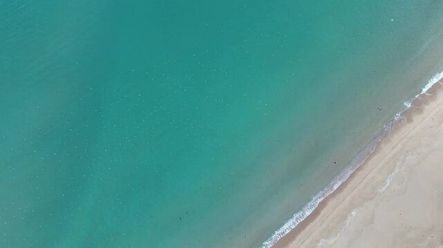 sea, waves, beach, sand, vacation, bird, holiday,바다,파도,해변,모래,휴가,새