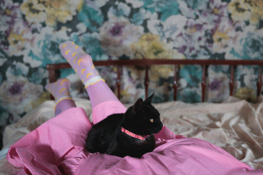 Black cat on the legs of a woman in an elegant bedroom