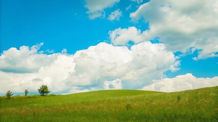 Obraz premium Scenic Meadow Background