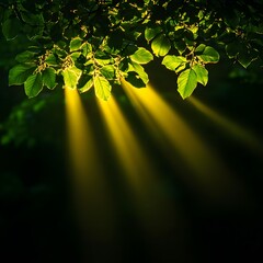 Obraz premium Golden Sunlight Through Lush Green Leaves