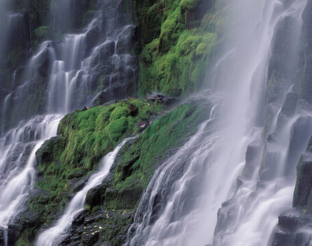 Early summer overcast light Lower Proxy Falls Oregon Cascades Oregon