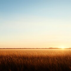Obraz premium Golden Wheat Field at Sunset