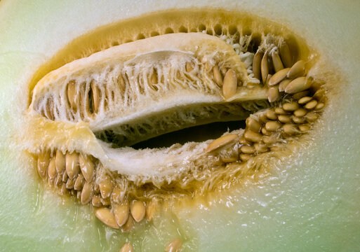 closeup honeydew melon sliced in half showing internal seeds patterns