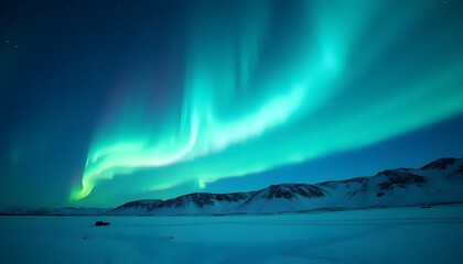 Naklejka premium Aurora Borealis over Frozen Landscape