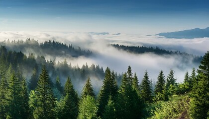 Fototapeta premium Morning mist over lake. Beautiful view ofer a foggy forest from hill 