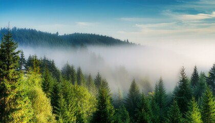 Fototapeta premium Morning mist over lake. Beautiful view ofer a foggy forest from hill 