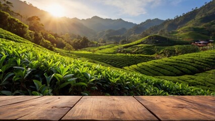 wooden table board with tea garden background
