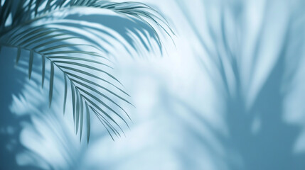 An abstract background featuring a blurred palm leaf shadow against a light blue wall, perfect for product display.