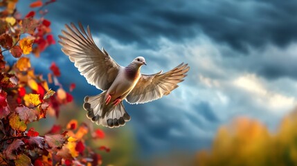 Obraz premium Dove soaring through colorful autumn leaves and stormy skies