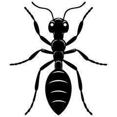 vector illustration of an ant
