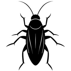 black cockroach isolated on white background