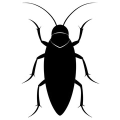 cockroach silhouette on white background