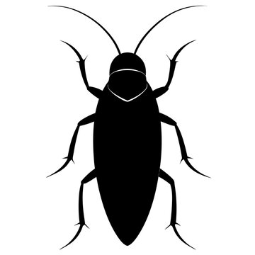 cockroach silhouette on white background