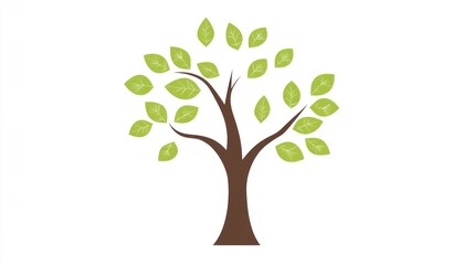 Green tree leaves nature spring growth white background