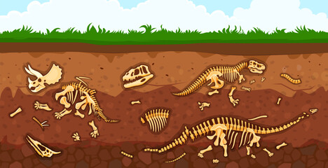 Archeology paleontology dinosaur fossil in soil layers vector background. Cartoon skeleton bones and skulls of tyrannosaurus, triceratops and diplodocus dinos. Dinosaur fossil, brown dirt and grass © Vector Tradition