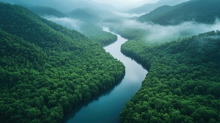 Winding river through misty forest valley aerial view