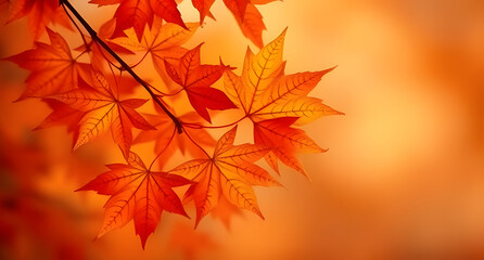 Warm autumn maple orange rust copper gold brown abstract background. Soft ombre gradient. Leaf nature seasonal texture. Cozy vintage aesthetic