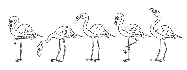 Obraz premium Flamingo outline clipart set. Flamingo icon lines summer bird clip art collection in different standing drawing pose vector illustration. 
