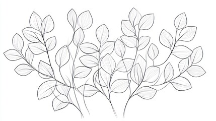 Elegant line art foliage, white background, botanical illustration, design element