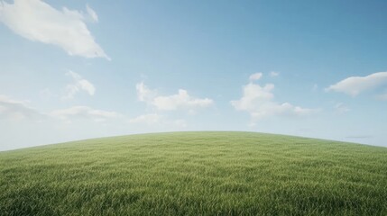 Obraz premium Sunny day, grassy hill, blue sky, peaceful landscape, nature background, website banner