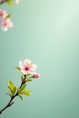Tranquil Nature Composition Featuring Blooming Cherry Blossoms and Lush Green Leaves