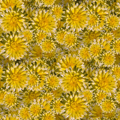 Vibrant seamless floral pattern with cheerful yellow flowers on textured background