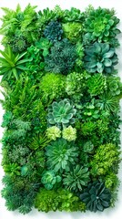 Green wall decor showcases an array of succulents and foliage, bringing a touch of nature indoors